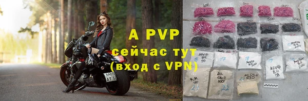 винт Абаза