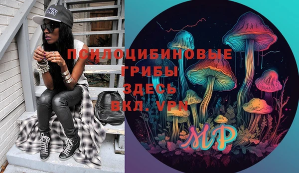 винт Абаза