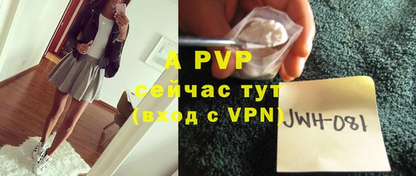 винт Абаза