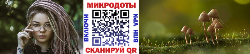 Галлюциногенные грибы мухоморы Карабаново